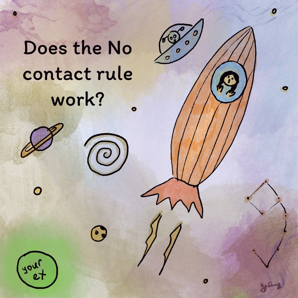 Does the No contact rule really&nbsp;work?